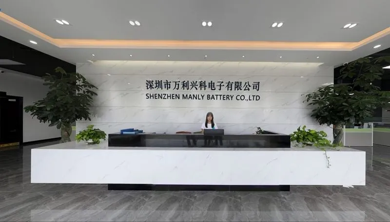 36V Lithium Scooter Battery 5