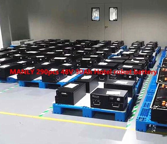 48V 30Ah Hotel robot battery