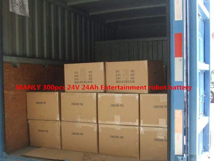 24V 24Ah Entertainment robot battery