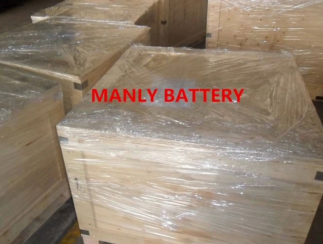 24V 65Ah cleaning robot lithium battery
