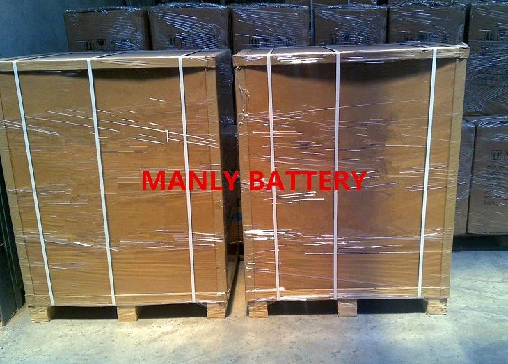 25.9V 48Ah skiing robot lithium battery