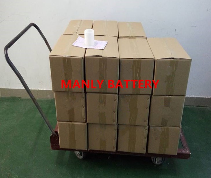 25.6V 24Ah lithium battery for singing robot