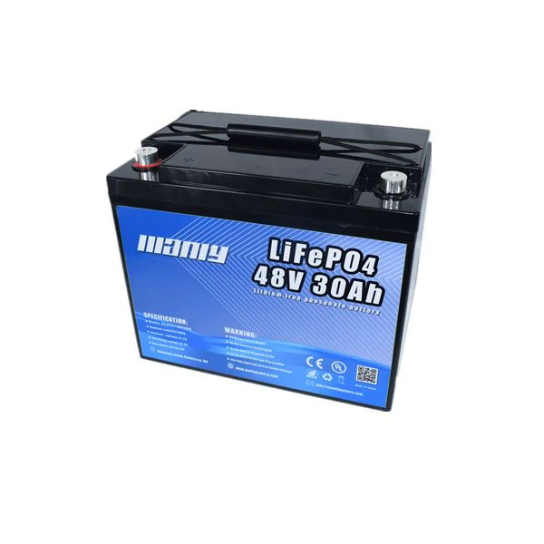 48 Volt Lithium Golf Cart Battery Pack