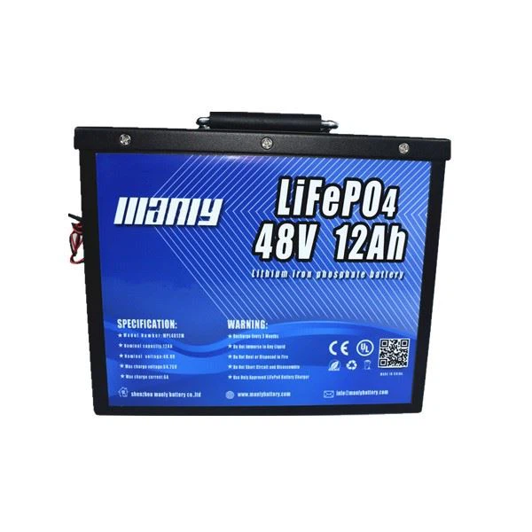 48v Lithium Battery Golf Cart