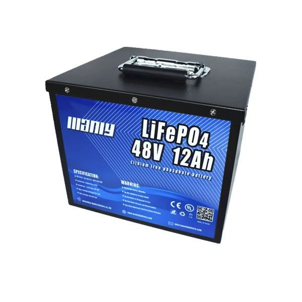 48v Lithium Battery Golf Cart