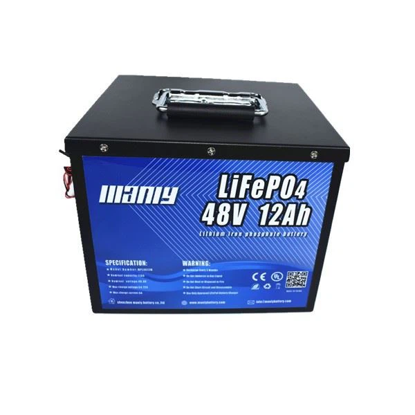48v Lithium Battery Golf Cart