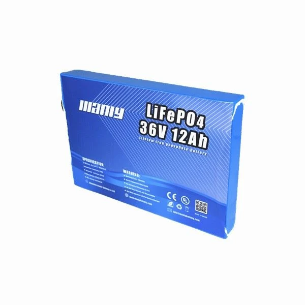 E-bike 36 Volt Lithium Battery Pack