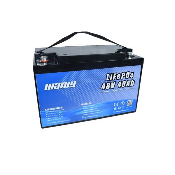 E Rickshaw Lithium Battery 48 Volt