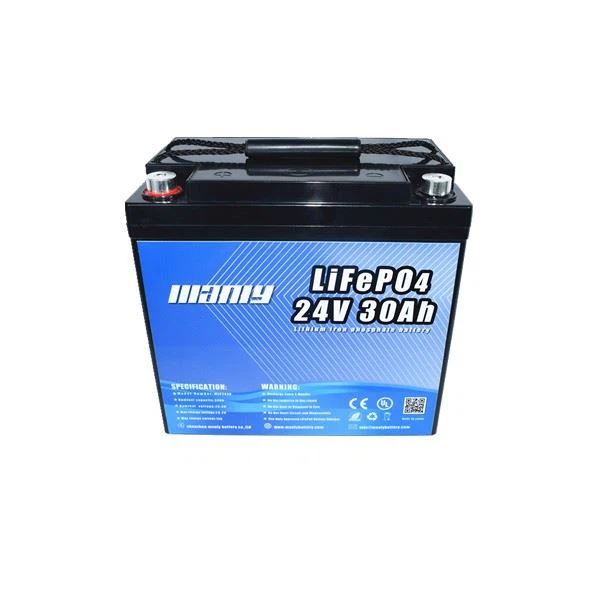 Lithium Ion Backup Battery