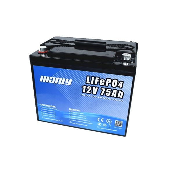 Lithium Battery For Boat Electronics