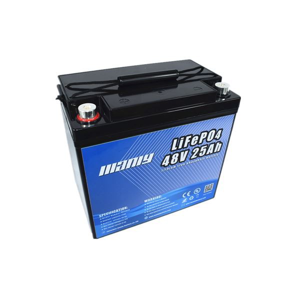 Lithium Battery For Electric Moped