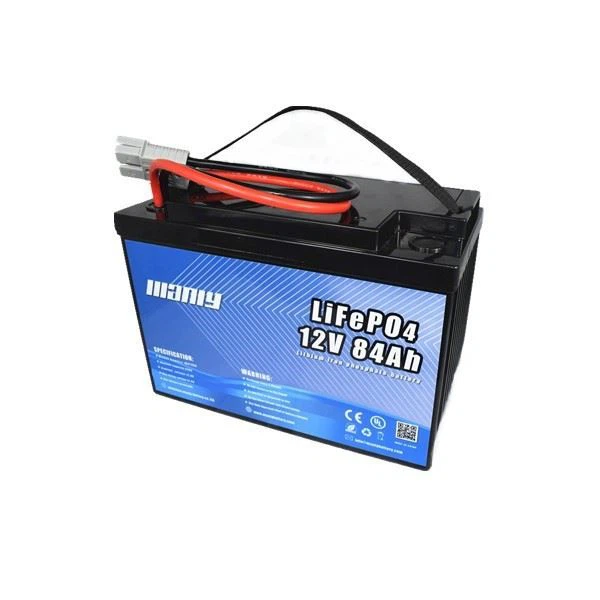 Portable 12V Battery