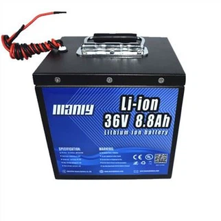 36 Volt Battery Pack