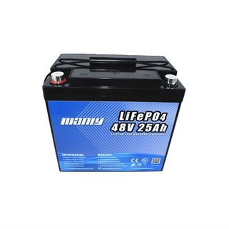 48 Volt Golf Cart Lithium Battery
