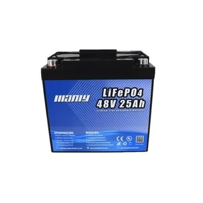 48V 25Ah Lithium Battery