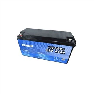 Lifepo4 Golf Cart Battery
