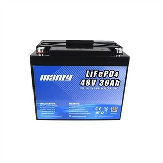 E Rickshaw Car Battery