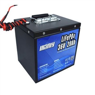 Lithium Bike Battery