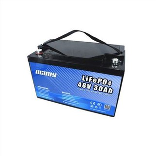 Lifep04 Lithium Battery
