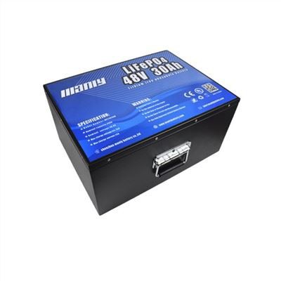 48 Volt Digital Battery