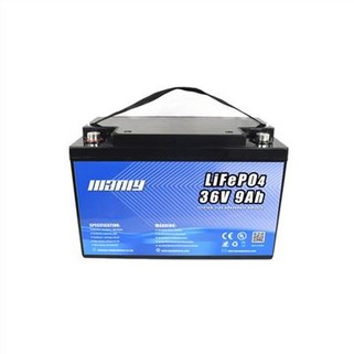 Rechargeable 36v Battery