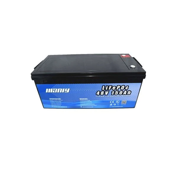 Lifepo4 Power Bank