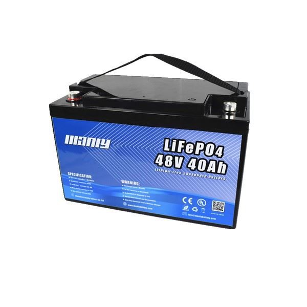 Lithium Iron Phosphate Battery Electric Vehicle