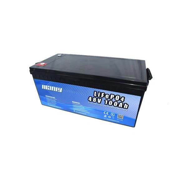 Lithium 100Ah Battery 51.2V