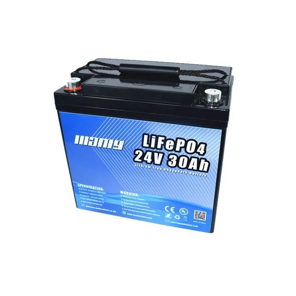 Lithium Electric Lawn Mower Battery