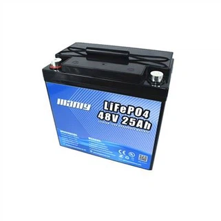 48 Volt Lithium Ion Golf Cart Battery