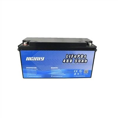 50Ah Lithium 51.2V Battery