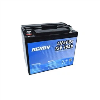 Desktop Battery Backup