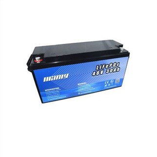 Lithium Ion Battery For Two Wheeler