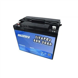 Lithium Ion Battery For Electric Cycle