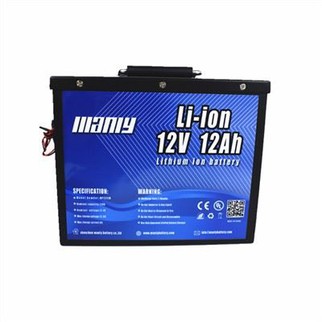 Lithium Ion 12V 12Ah