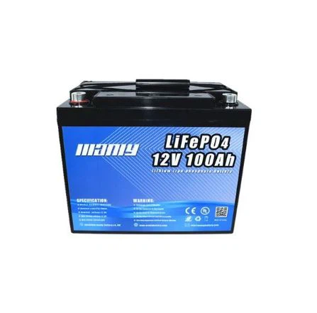 Manly 12v 100Ah Customized Rechargeable Lifepo4 Lithium Ion Battery