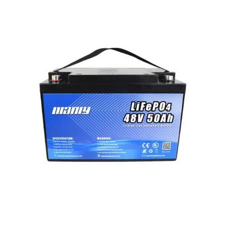 Manly 51.2V LiFePO4 50AH Electric Forklift Medical Equipment Lithium Battery Pack