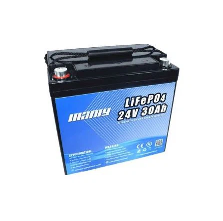 Manly Rechargeable 24v 30ah 48 Volt Lithium Battery Pack For Robot