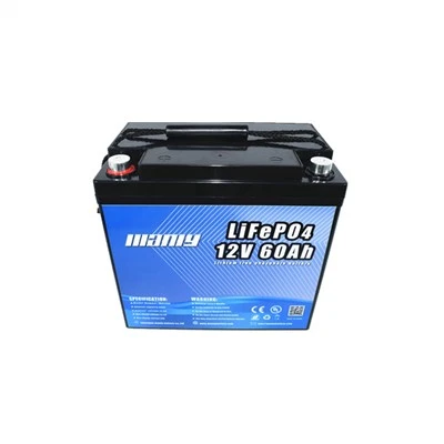 Batterie LiFePO4 12V 60Ah