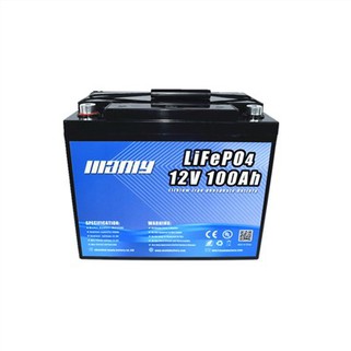 Lithium Battery 12V 100Ah LiFePO4
